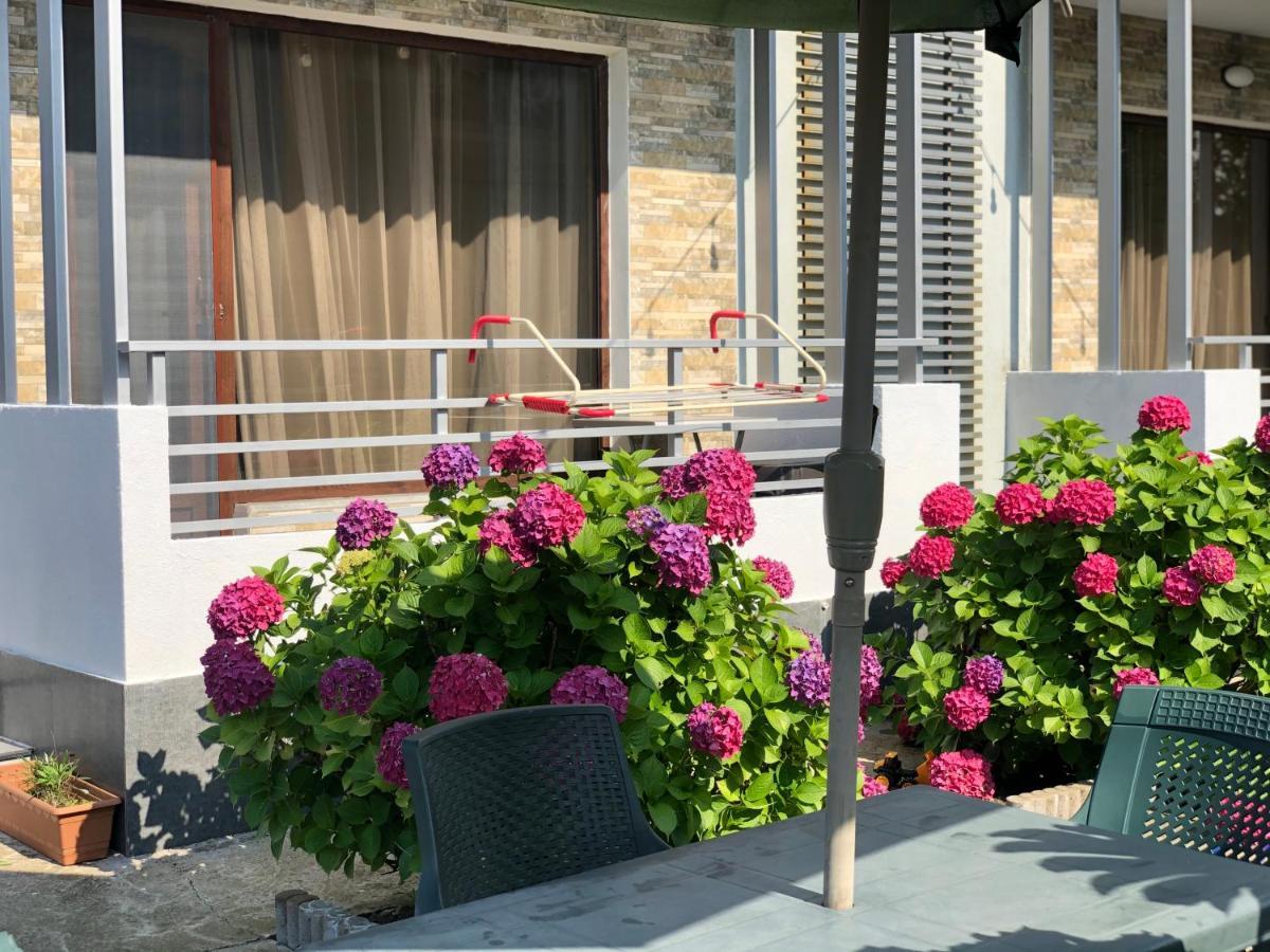 Apollo Plus Cottages Ureki Εξωτερικό φωτογραφία